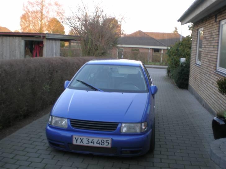 VW Polo Colour Concept billede 2