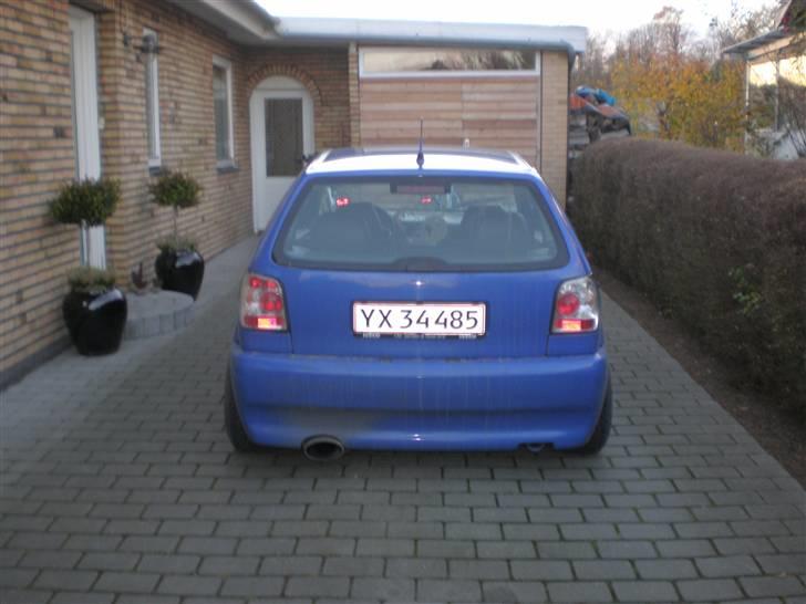 VW Polo Colour Concept billede 3