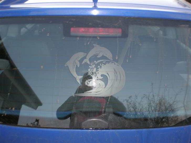 VW Polo Colour Concept billede 4