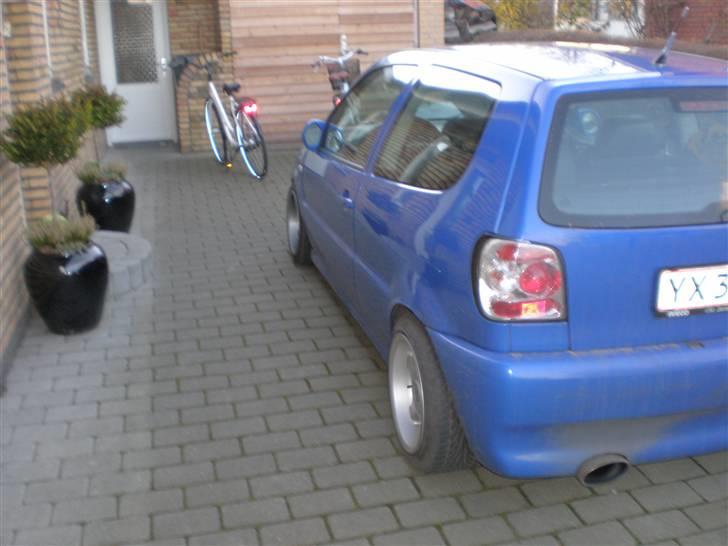 VW Polo Colour Concept billede 5