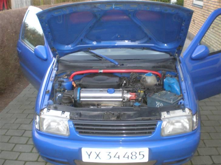 VW Polo Colour Concept billede 11