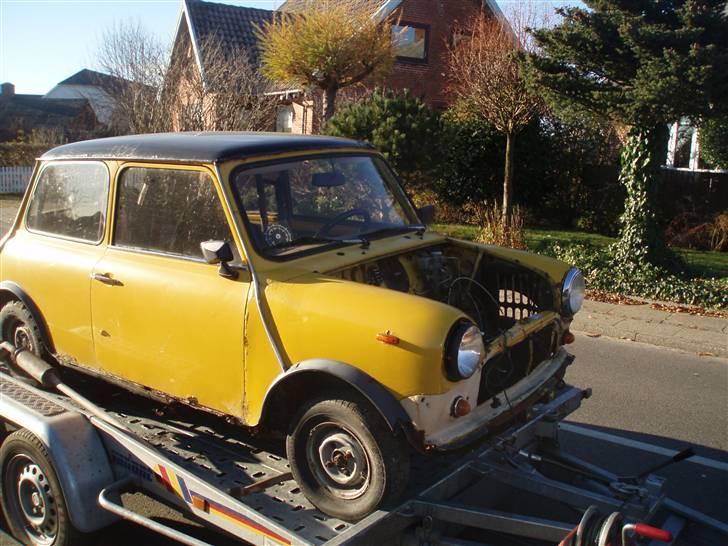 Austin-Morris Mascot 1100 special SOLGT billede 2