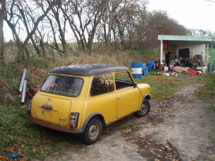 Austin-Morris Mascot 1100 special SOLGT billede 3