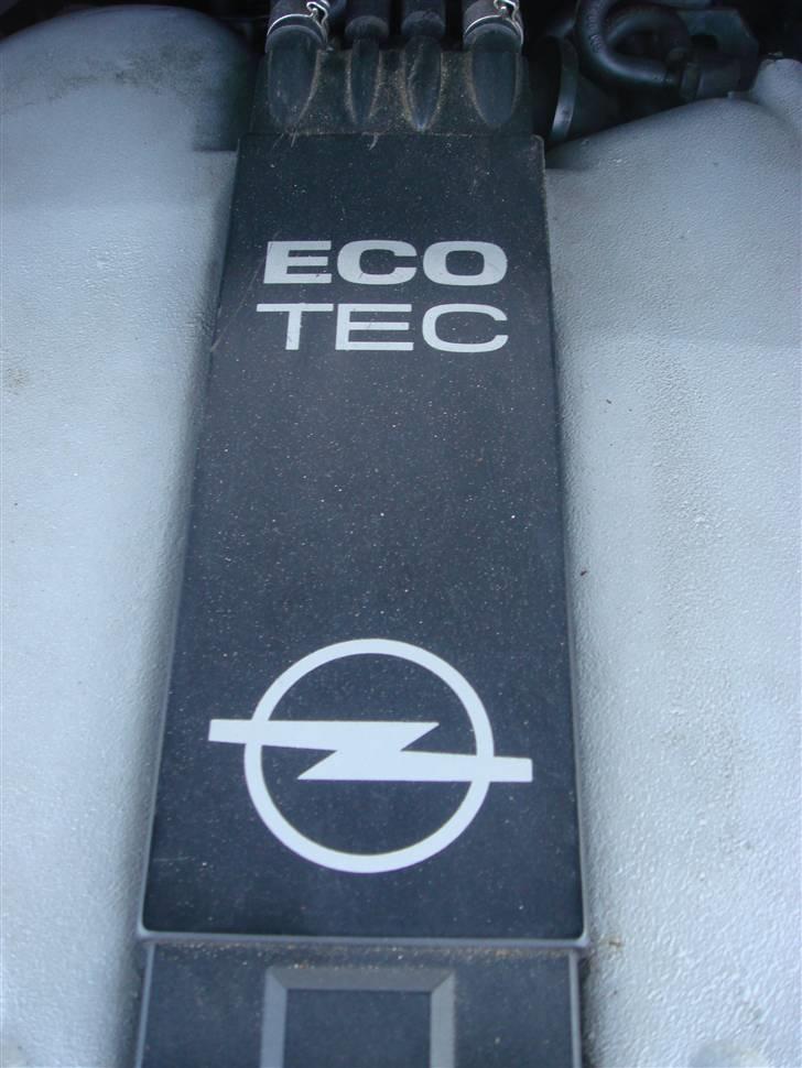 Opel Omega B .::Irmscher::. billede 6