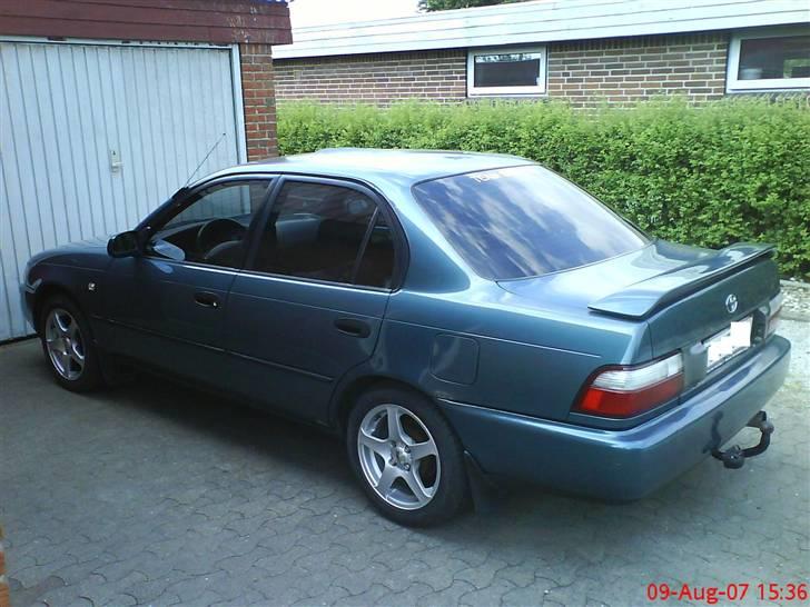 Toyota Corolla XLI  Sedan  - Så kom der møke ruder i. det er lavet ved KQ i Vojens billede 6