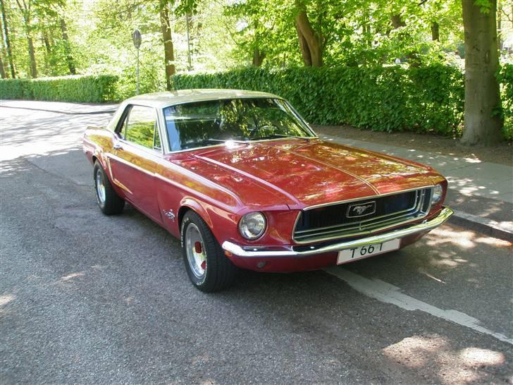 Ford Mustang  SOLGT - En mega fin dag i Maj,taget på min nevø´s konf´dag  07 billede 1