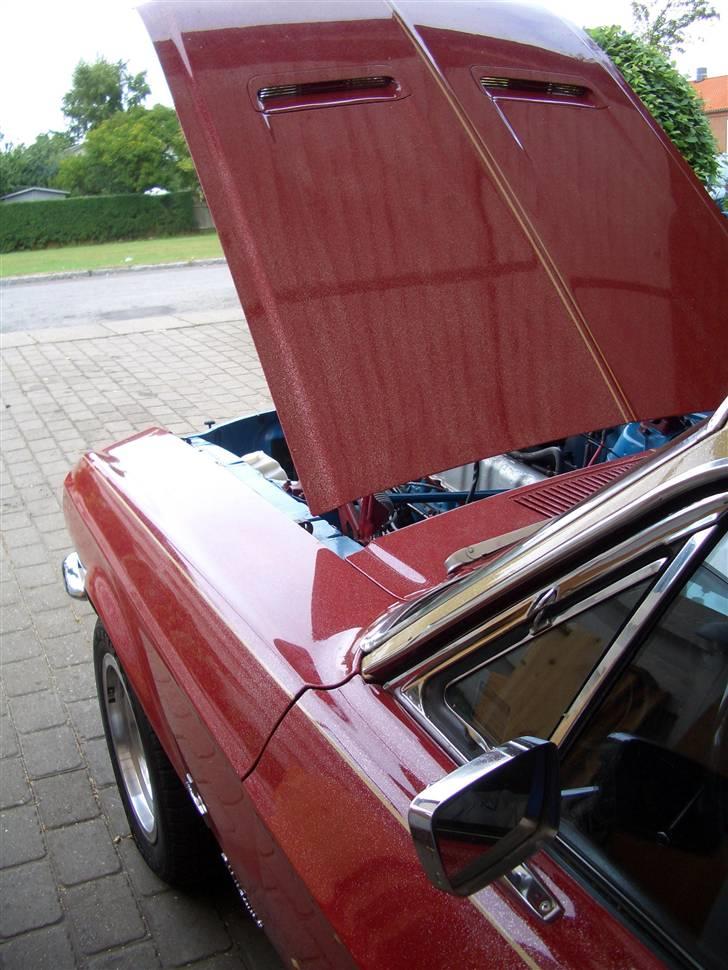 Ford Mustang  SOLGT - Flake på fuldgab,sep 05 billede 2