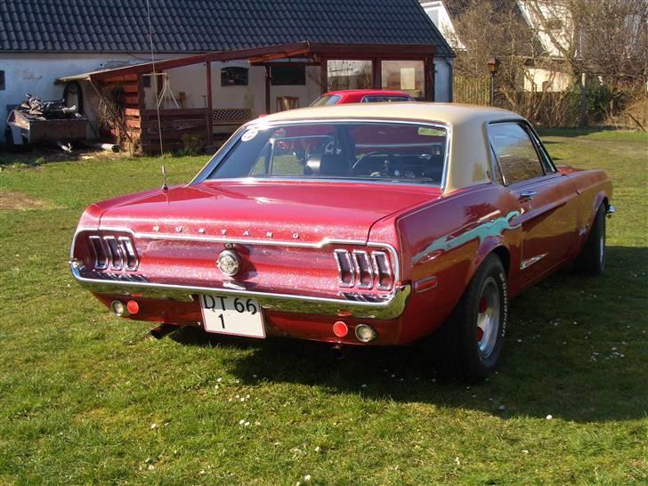 Ford Mustang  SOLGT - go røv i marts 07,årets første cruise 07 billede 5