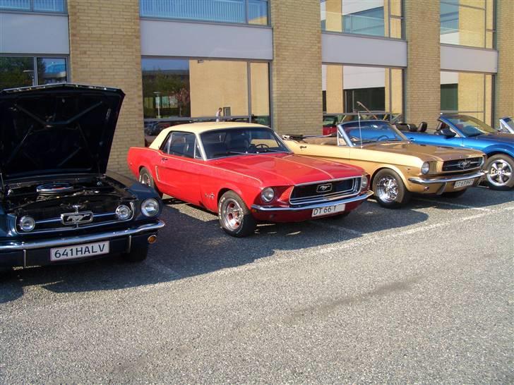 Ford Mustang  SOLGT - Cruise for a cure april 07,til ære for de sukkersuge ramte... billede 6