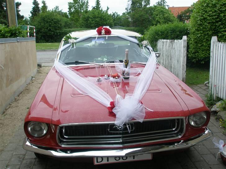 Ford Mustang  SOLGT - Timerne før bryllupskørsel for Smeden juni 07 billede 8