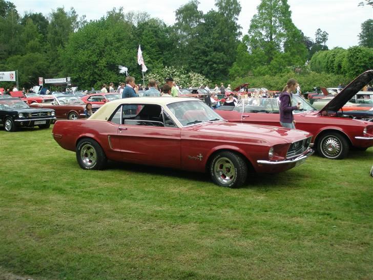 Ford Mustang  SOLGT - Træf på Gisselfeldt 2007 billede 9