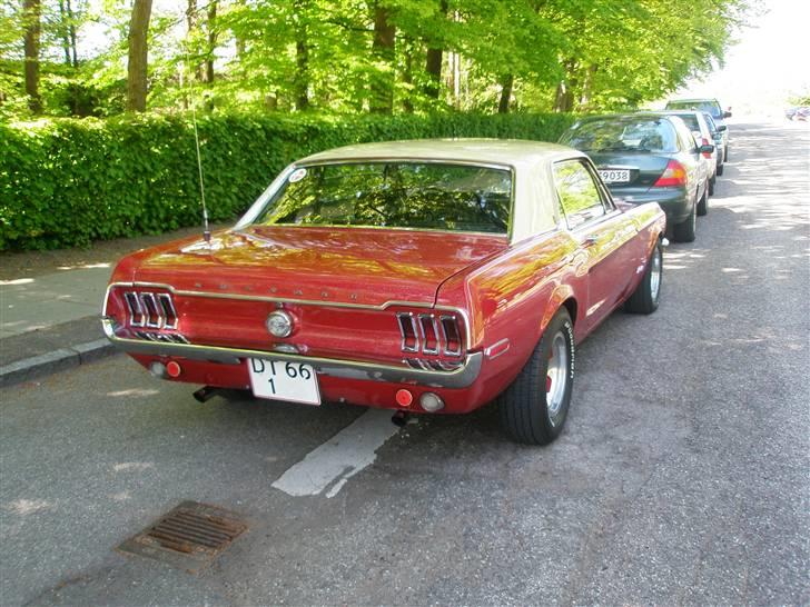 Ford Mustang  SOLGT - Maj 07 ved tårnby stadion,køret konfirmations kørsel for min nevø,han var godt tilfreds.. billede 10