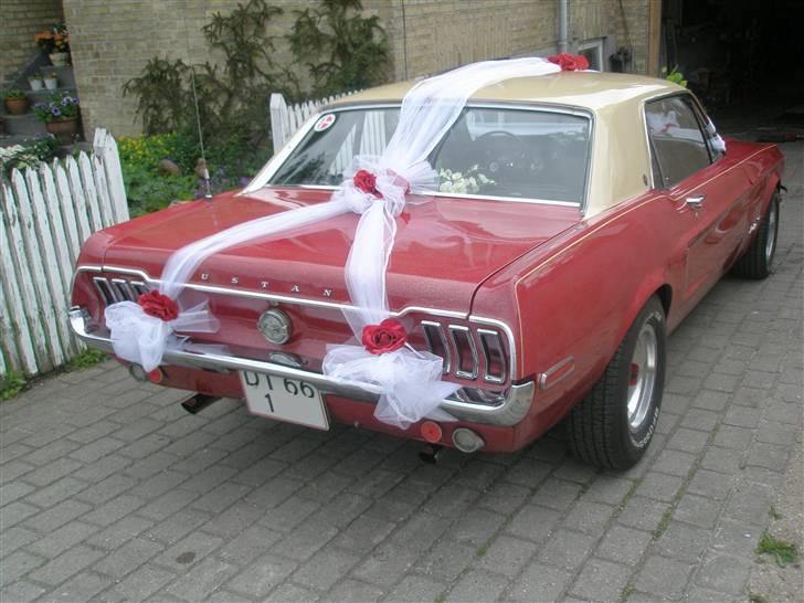 Ford Mustang  SOLGT - Bryllupskørsel for min bedste ven Smeden ,juni 07 billede 12