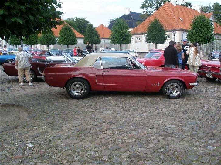 Ford Mustang  SOLGT - Onsdags cruise til Fredensborg med MCD,71 mustanger deltog i dette fede cruise billede 14