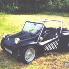 VW Buggy