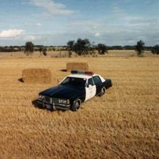 Pontiac Catalina politibil