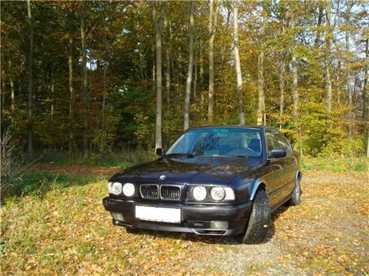 BMW 540i - BMW 540I 4.0  V8  32v 0-100 på 6.4 sec  286 hk  400 nm billede 1