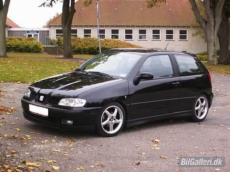 Seat Ibiza billede 1