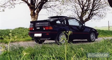 Honda CRX COUPE billede 3