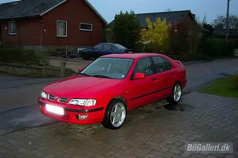 Nissan Primera SLX billede 4