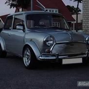 Mini 1000