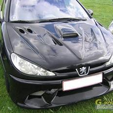 Peugeot 206 2.0 GTI 
