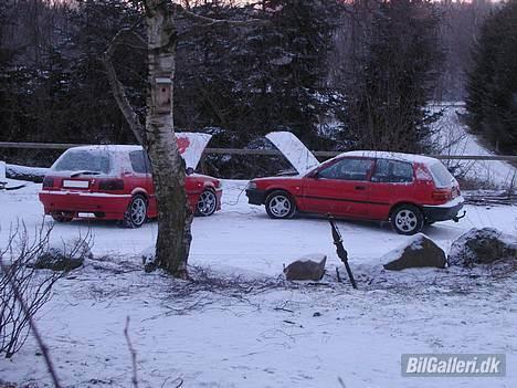 Toyota Corolla- Trylleøsen SOLGT - træf :) billede 4