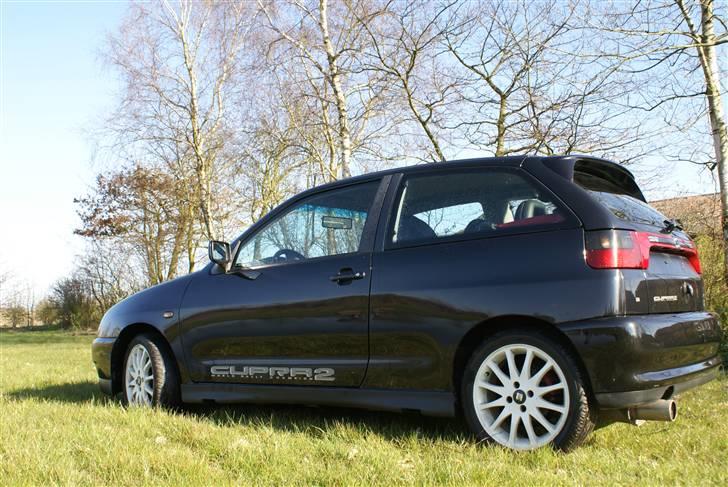 Seat Ibiza Cupra #solgt# billede 1