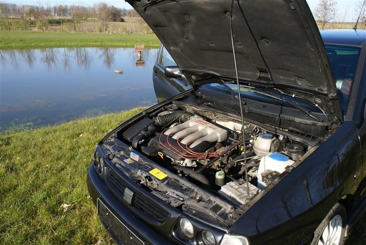 Seat Ibiza Cupra #solgt# billede 5