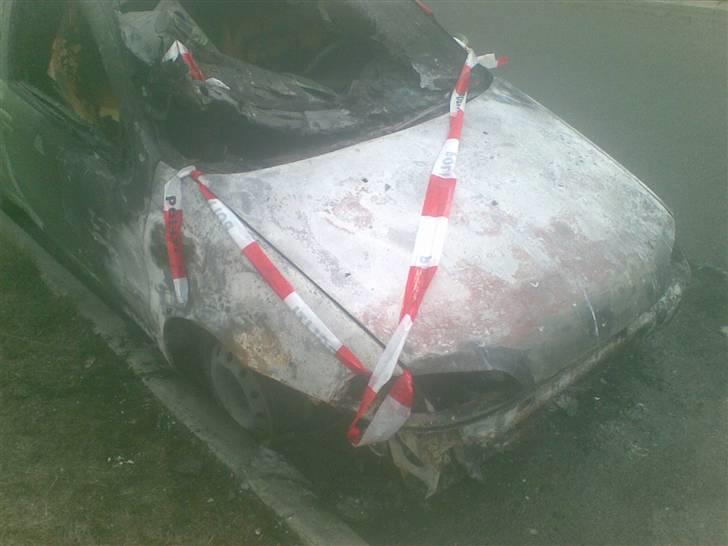 Fiat  punto den grønne perle billede 15