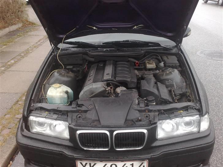 BMW e36 billede 6