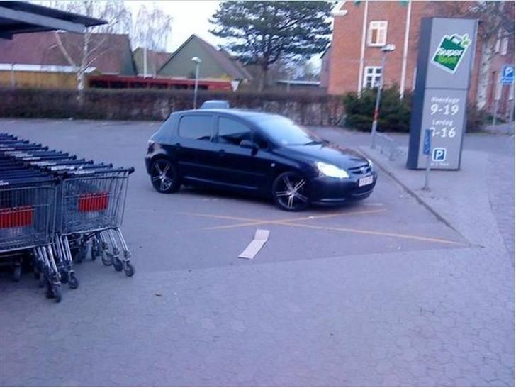 Peugeot 307 *LØVEN* SAVNET ! billede 1