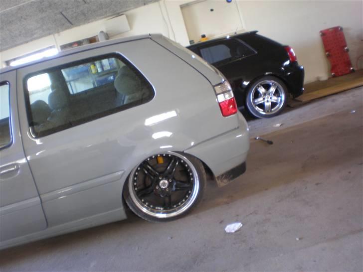 VW ACC-Grey Hound)solgt billede 14