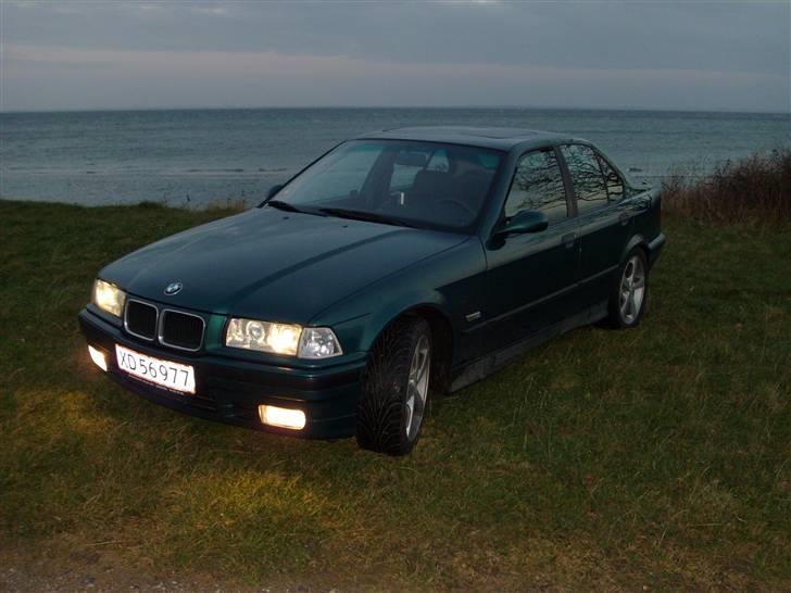 BMW E36 320i  - Den blev beskidt bagefter billedet... vådt græs.... det tikker jo om at blivet revet op af nogle dæk billede 16