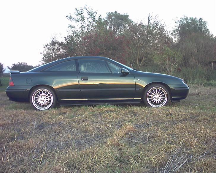 Opel Calibra 2,0 16V  *SOLGT* - Calibraen i fuldlængde billede 1