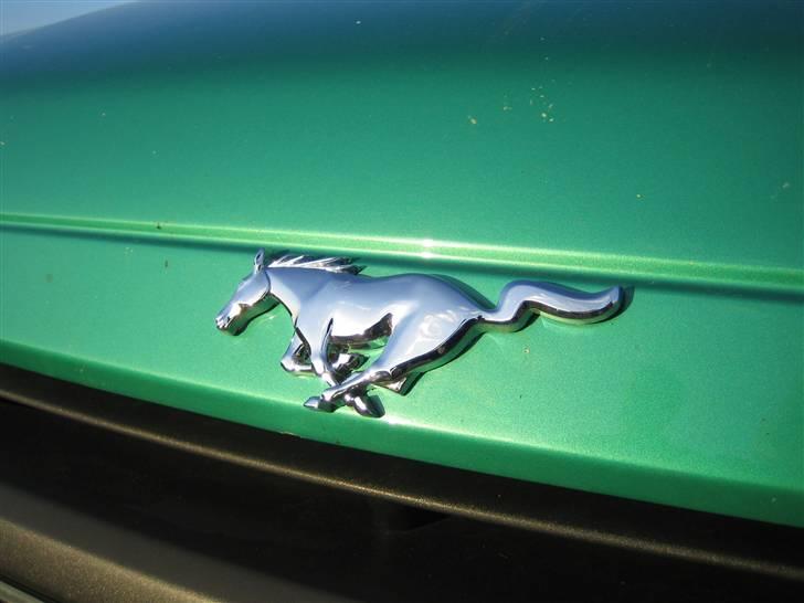 Ford Fiesta SOLGT - Parallel import fra Costa Mesa, southern California billede 8