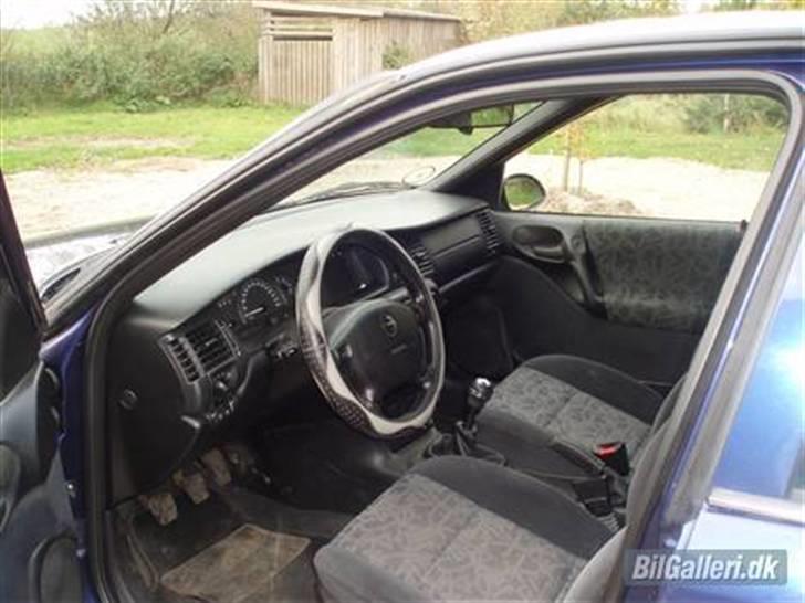 Opel vectra b billede 1