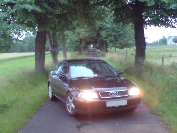 Audi A4 2,6 v6 (død) billede 13