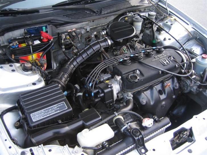 Honda Civic billede 6