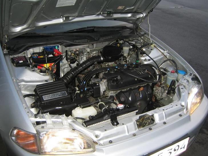 Honda Civic billede 8