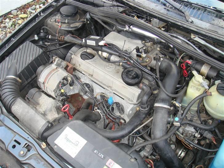 VW Corrado G60 #SOLGT# billede 7