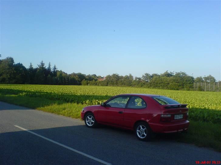 Toyota corolla xli billede 2