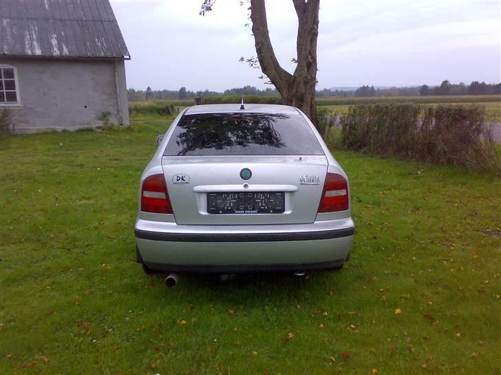 Skoda octavia  SOLGT billede 5