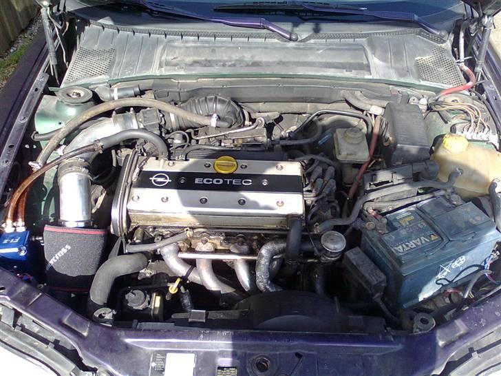 Opel Vectra B 2.0 16V - den gamle motor som var alm 2.0 16v billede 6