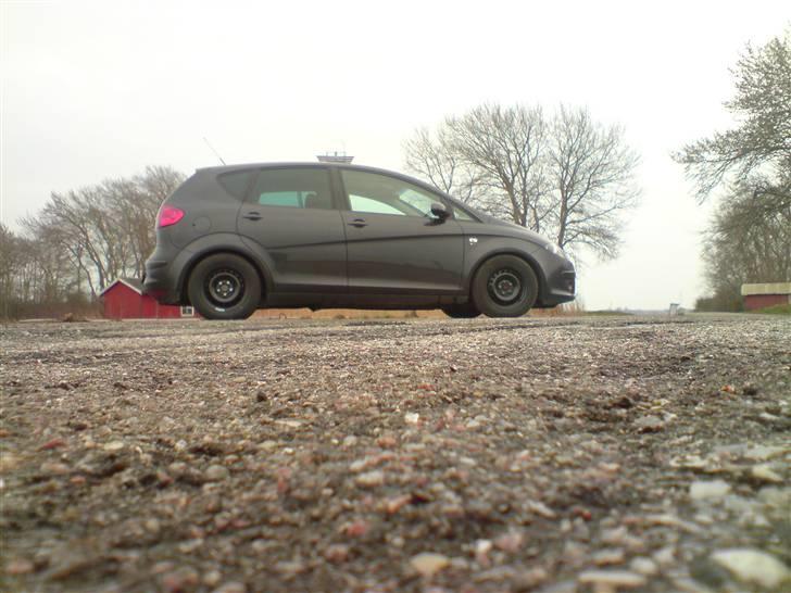 Seat Altea billede 6