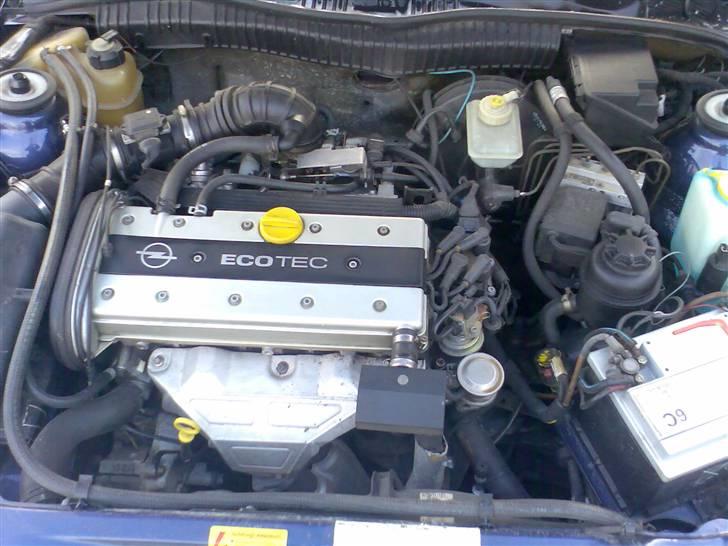 Opel Calibra Last Edition - 2.0i Ecotec, mekanik wie imponiert,, billede 7