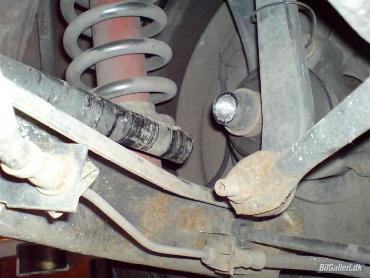 Audi Rs4 Dahlbäck Racing billede 15