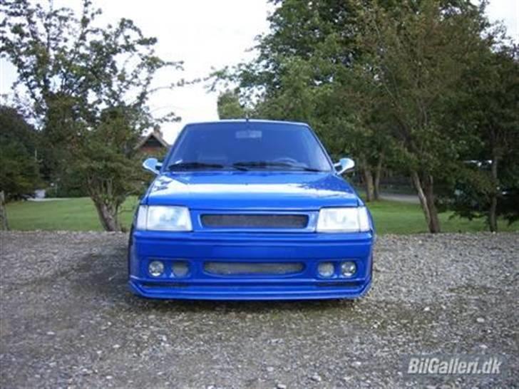 Peugeot 205 GTi billede 2