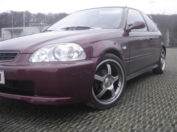 Honda civic [ Projekt ] Solgt - mit xenon 10000 kelvin billede 5