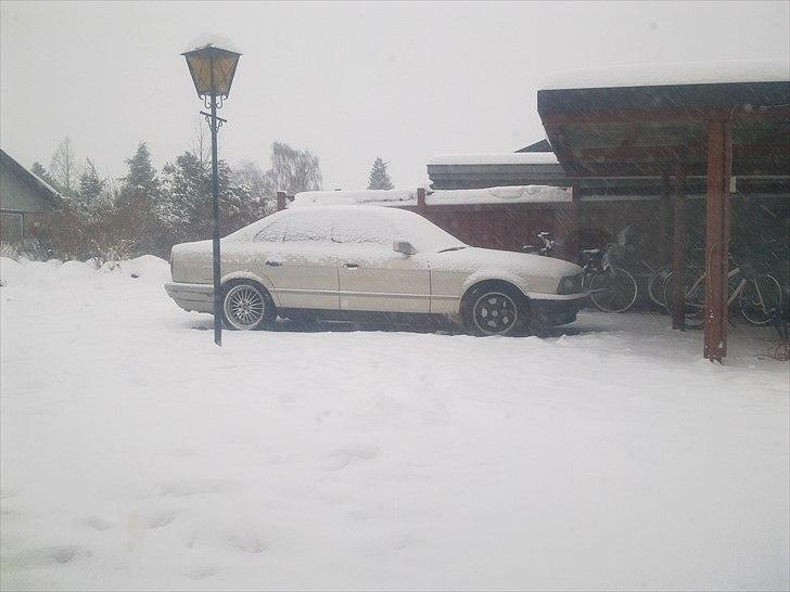 Honda civic turbo - BMW e34 530i billede 16